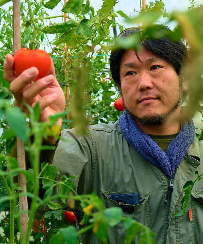 前田農場とは