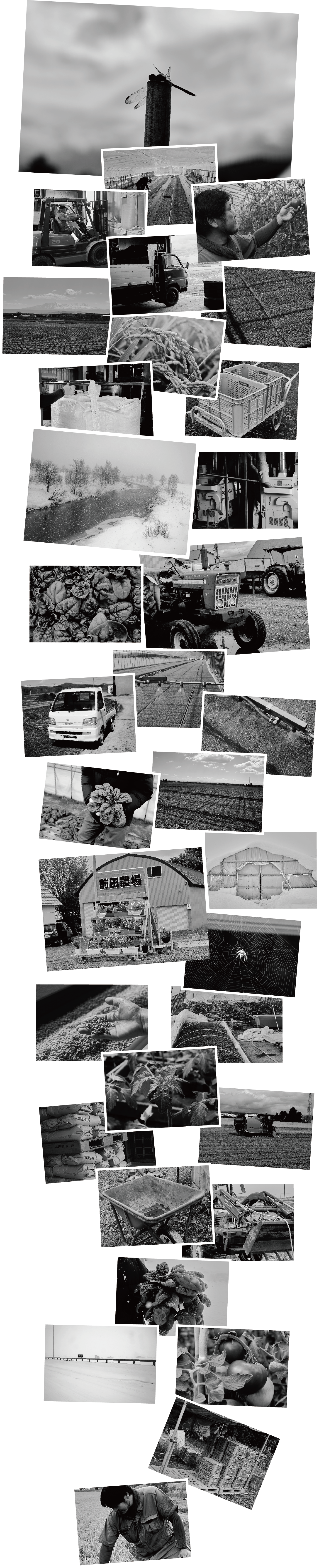 Photo Gallery