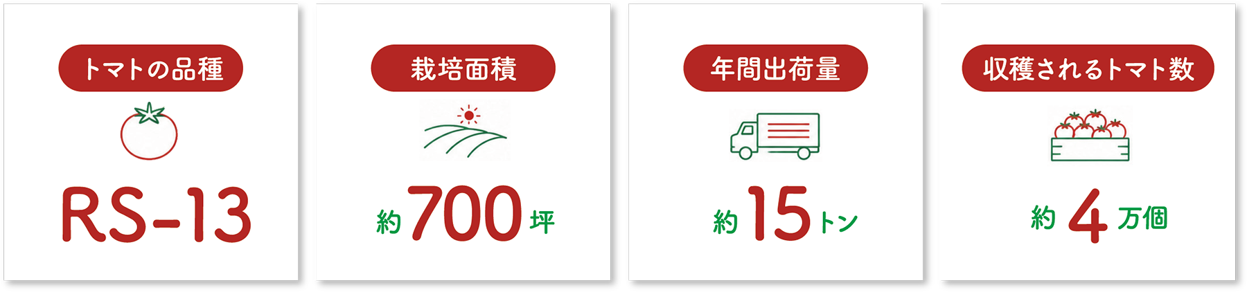 トマトの品種：RS-13／栽培面積：約700坪／年間出荷量：約15トン／収穫されるトマト数：約4万個