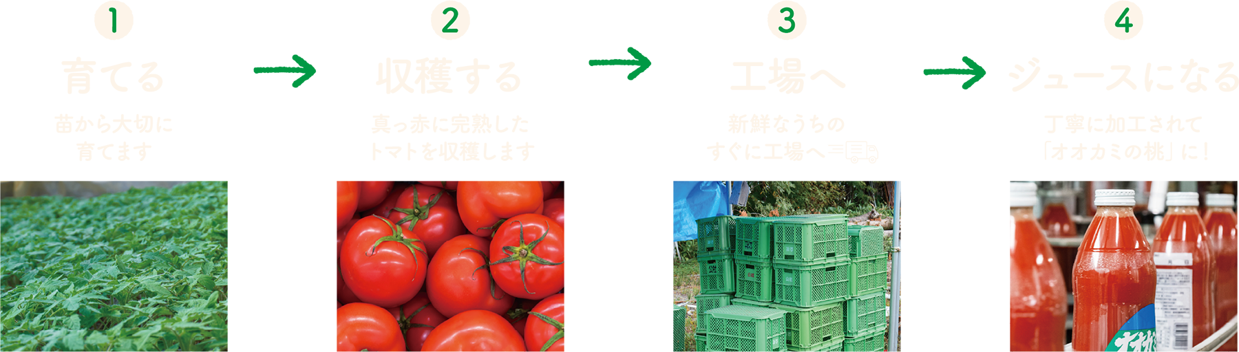 トマトがジュースになるまでの流れ